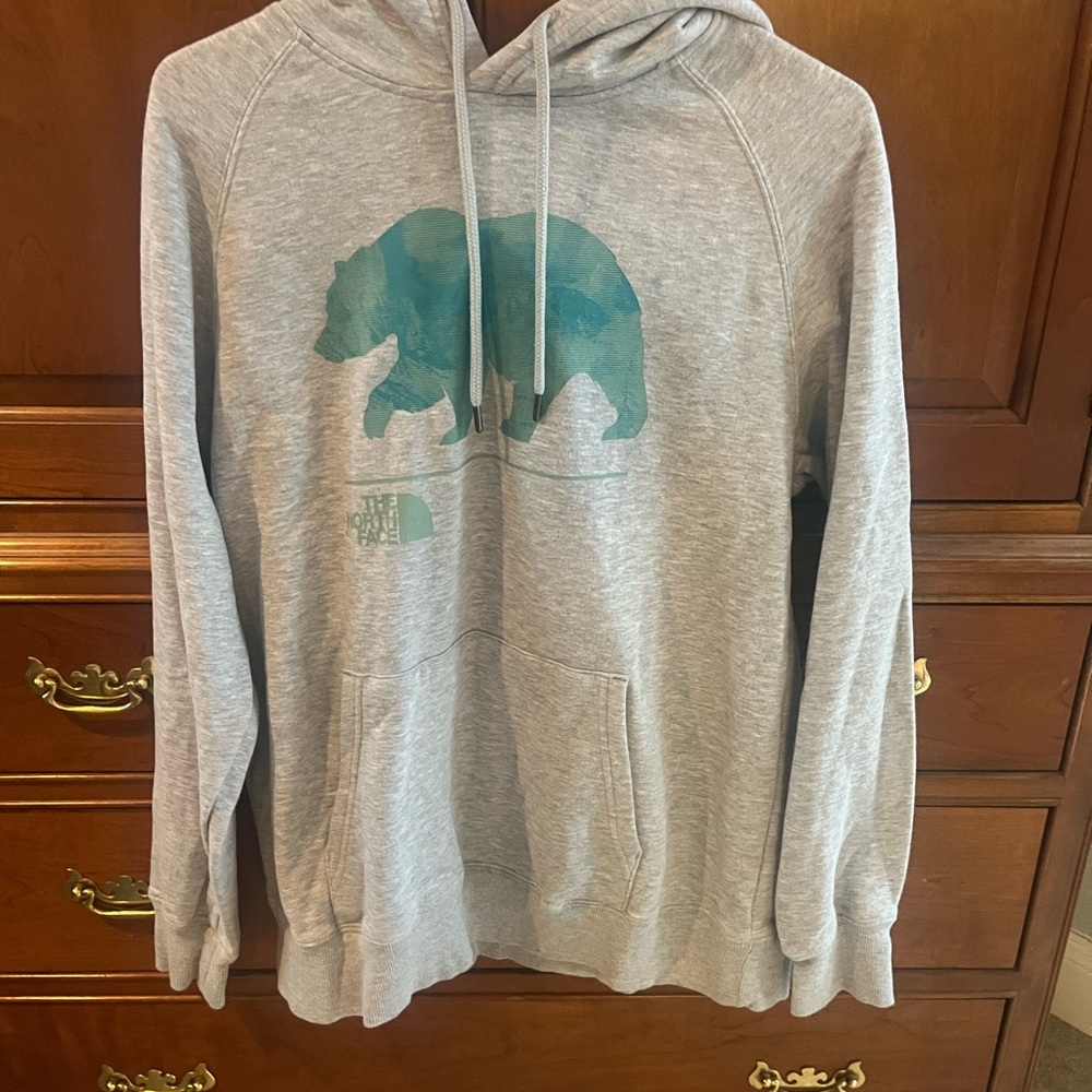 The North Face Gray Hoodie with Teal Bear Graphic